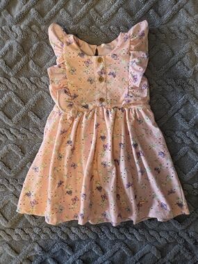 Tahari Pink Butterfly & Floral Ruffle Dress, Size 4